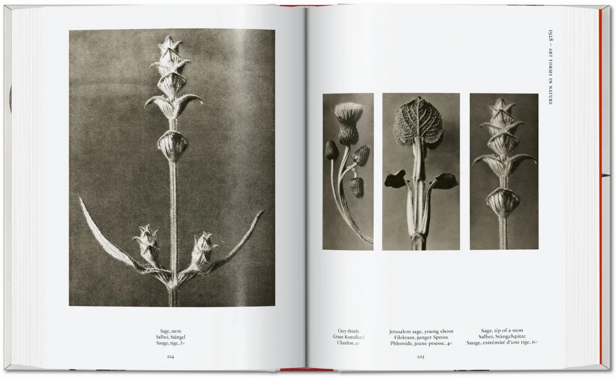 Karl Blossfeldt. The Complete Published Work. 45th Ed.