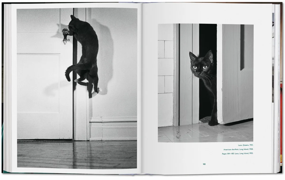 Walter Chandoha. Cats. Photographs 1942–2018