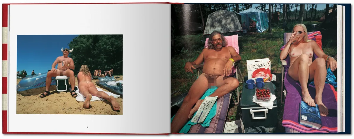 Naomi Harris. America Swings, Art Edition No. 51–100 ‘Barbecue’