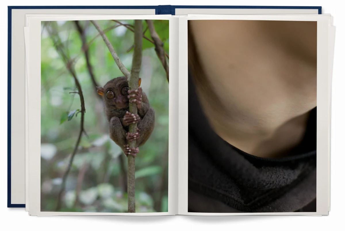 Wolfgang Tillmans. Neue Welt, Art Edition