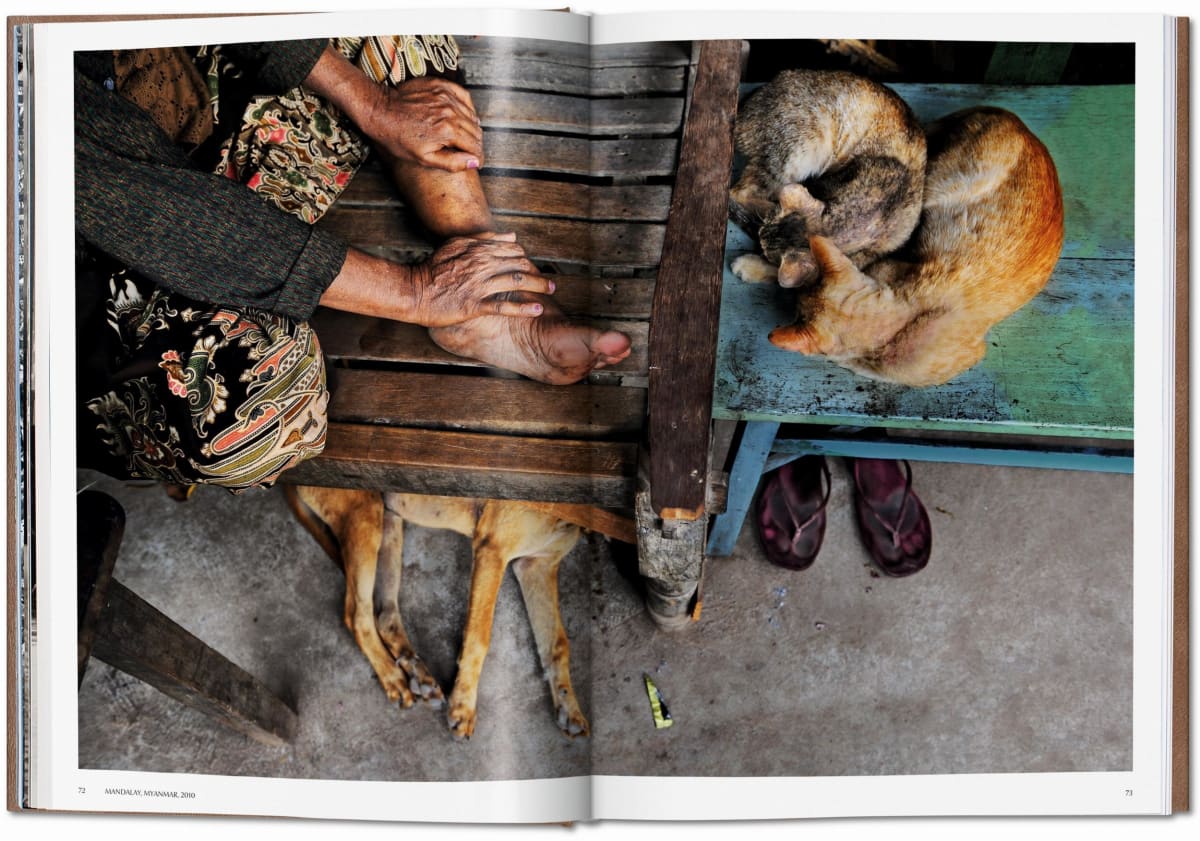Steve McCurry. Animals. Art Edition No. 1–100 ‘Chiang Mai, Thailand, 2010’