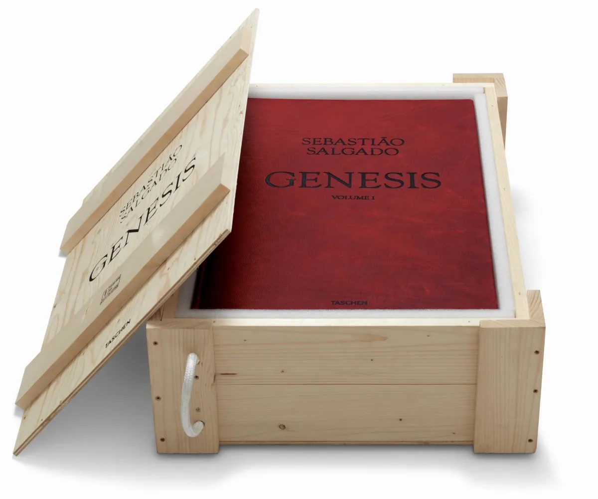 Sebastião Salgado. Genesis. Art Edition No. 201–300 ‘Black-Browed Albatrosses, Falkland Islands’