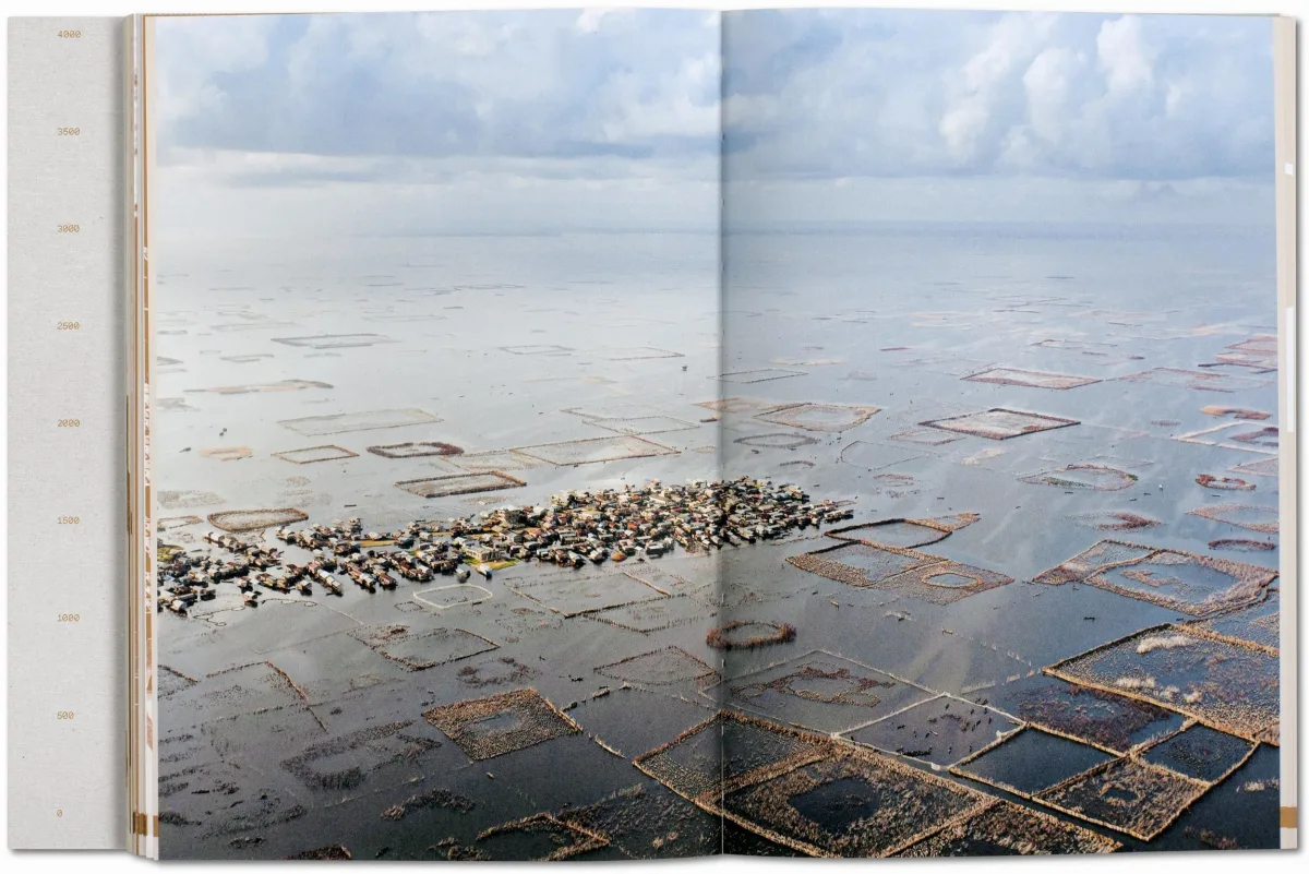 Julia Watson. Lo—TEK. Design by Radical Indigenism