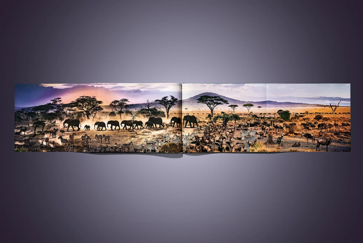 Stephen Wilkes. Day to Night. Art Edition No. 101–200 ‘Grand Canyon, Arizona, 2015’