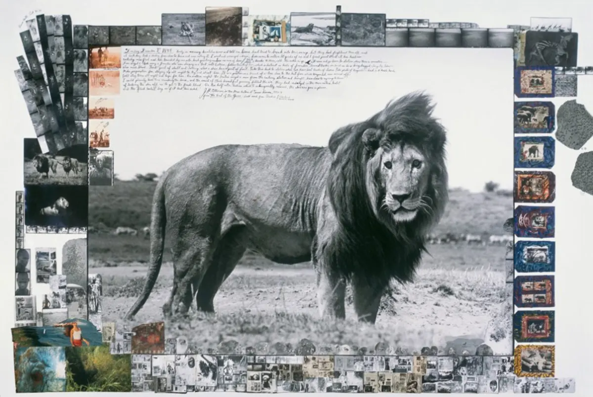 Peter Beard