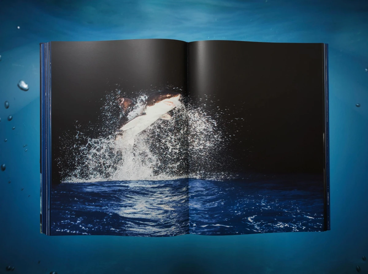 Michael Muller. Sharks, Art Edition No. 1–100 ‘Tear You Apart’