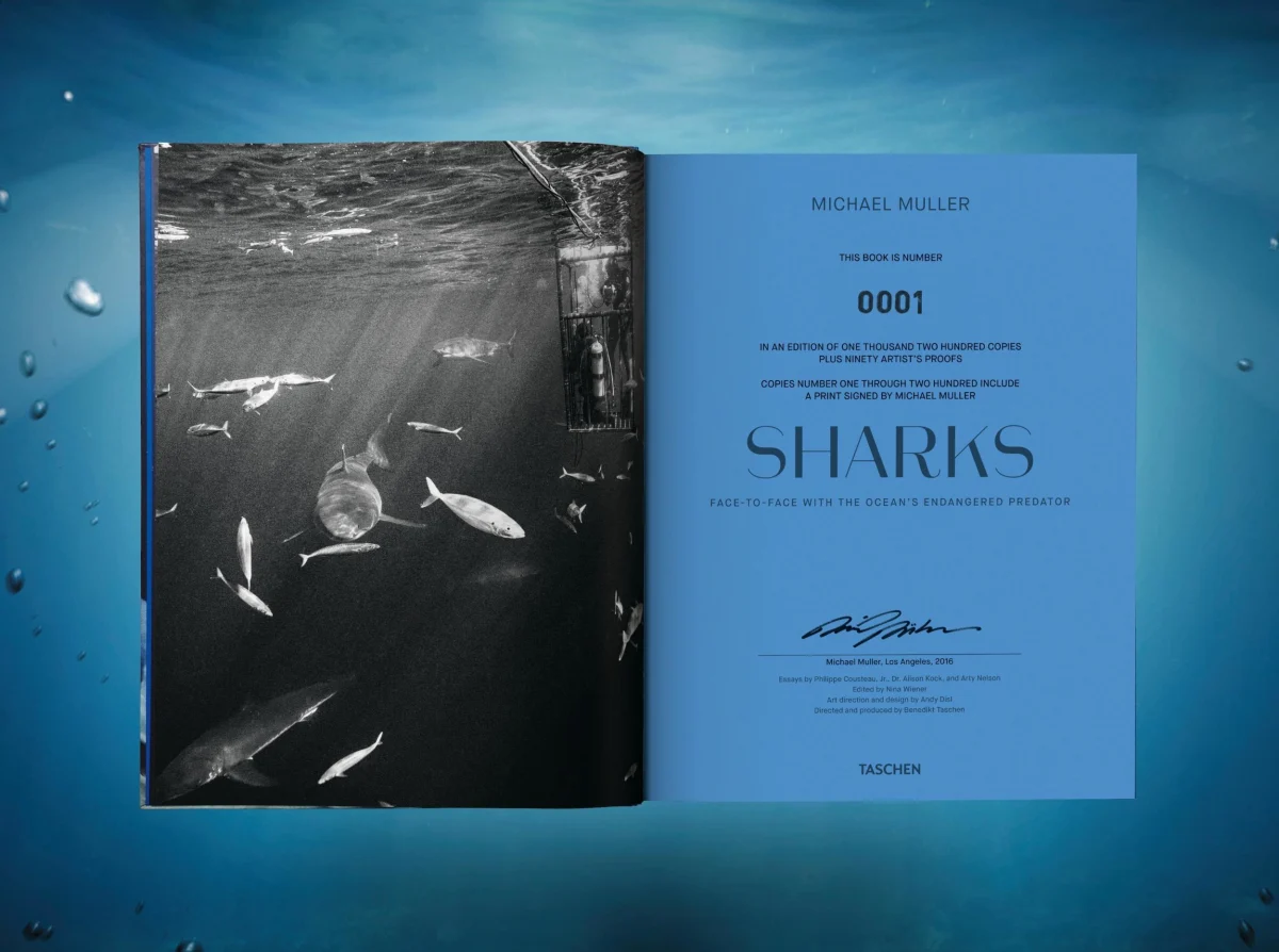 Michael Muller. Sharks, Art Edition No. 1–100 ‘Tear You Apart’