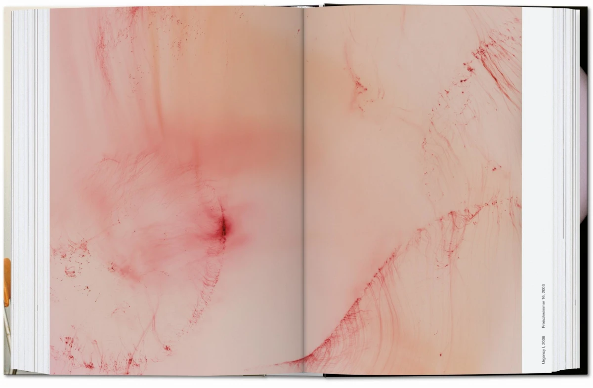 Wolfgang Tillmans. four books. 45th Ed.