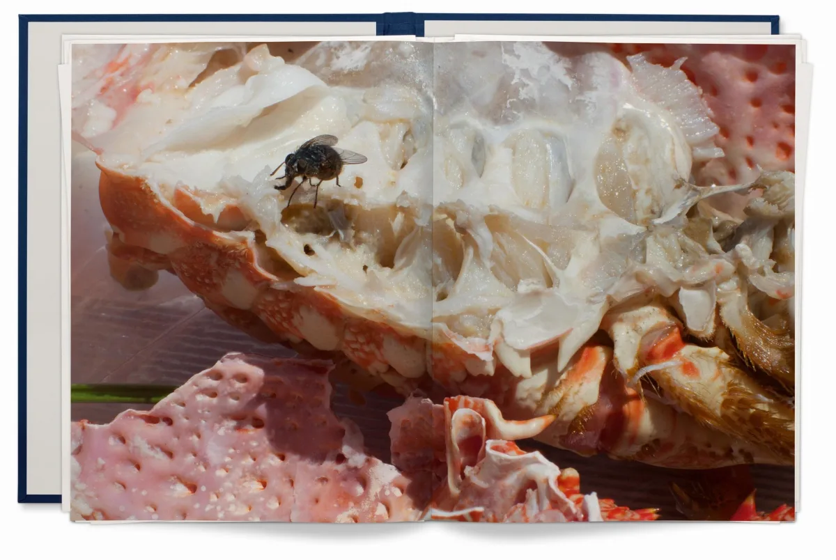 Wolfgang Tillmans. Neue Welt, Art Edition