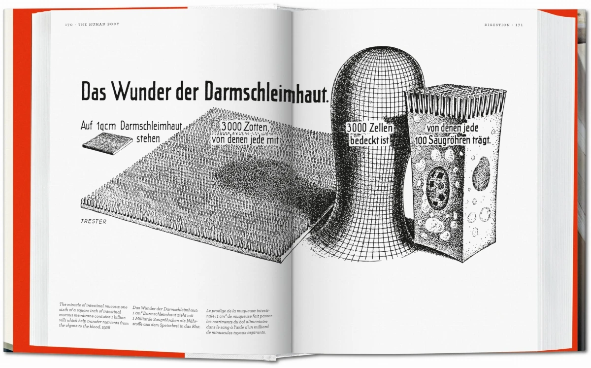 Fritz Kahn. Infographics Pioneer