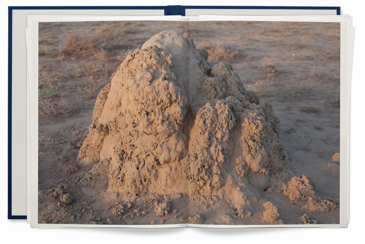 Wolfgang Tillmans. Neue Welt, Art Edition