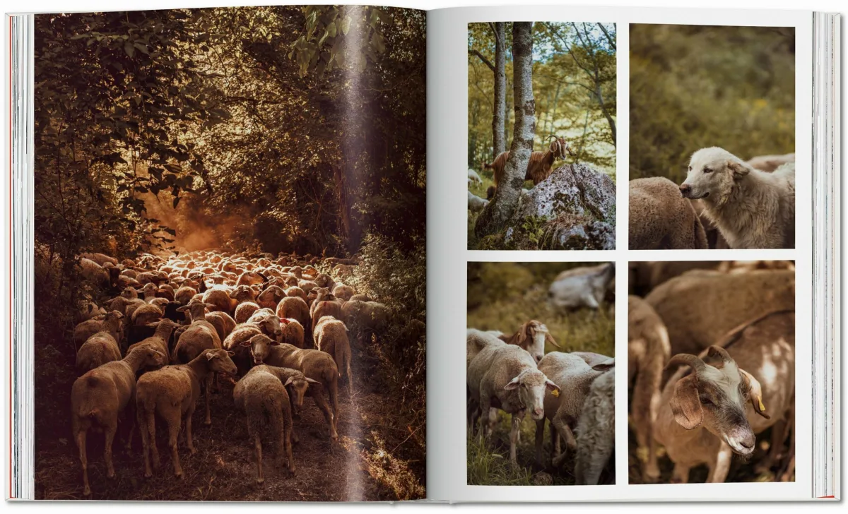 Remote Experiences. Extraordinary Travel Adventures from North to South