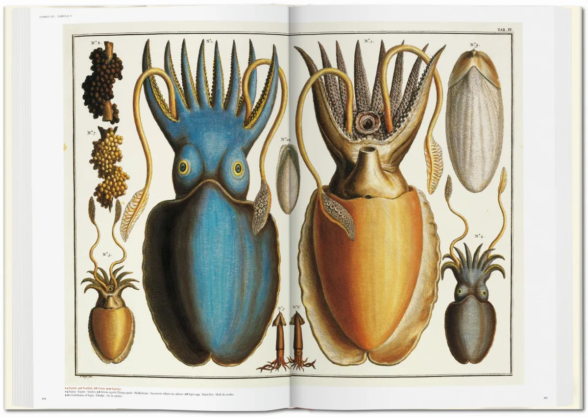 Seba. Cabinet of Natural Curiosities