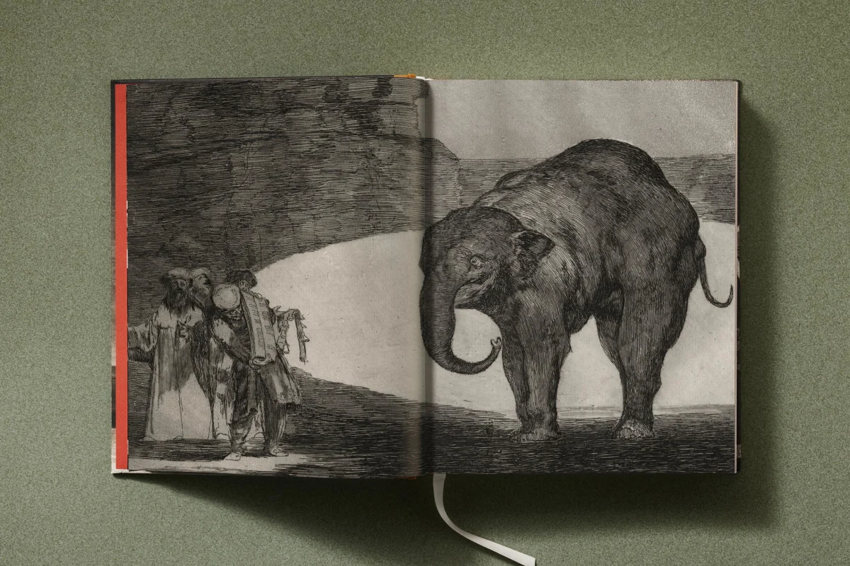 Goya. The Complete Prints