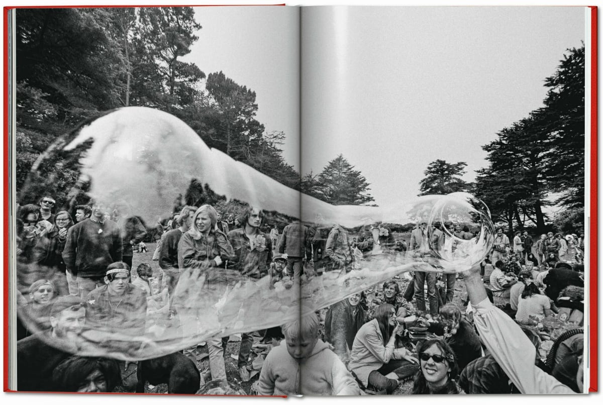 San Francisco. Portrait of a City, Art Edition No. 76–150 'Seagull over Golden Gate Bridge, early 1950s'