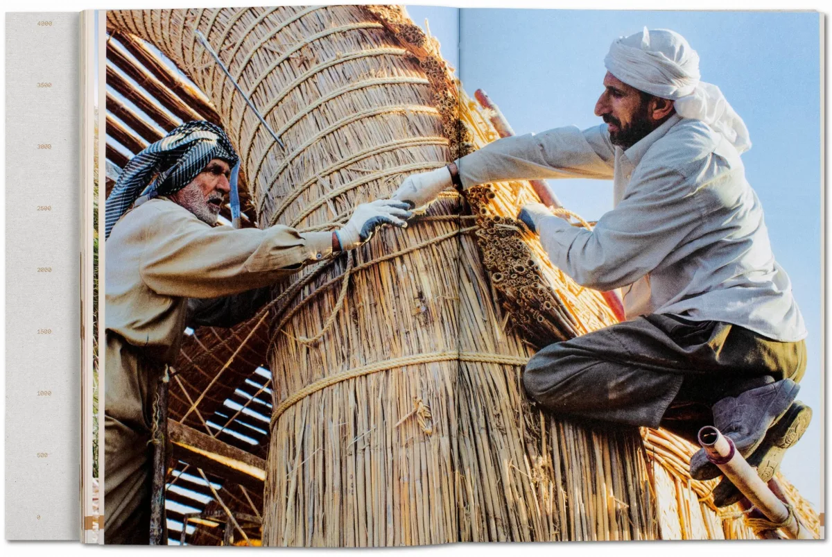 Julia Watson. Lo—TEK. Design by Radical Indigenism