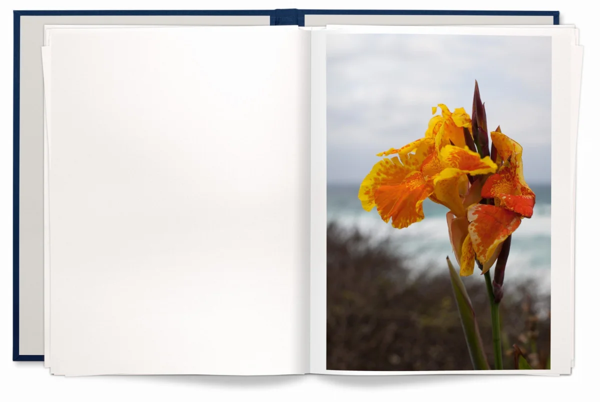 Wolfgang Tillmans. Neue Welt, Art Edition