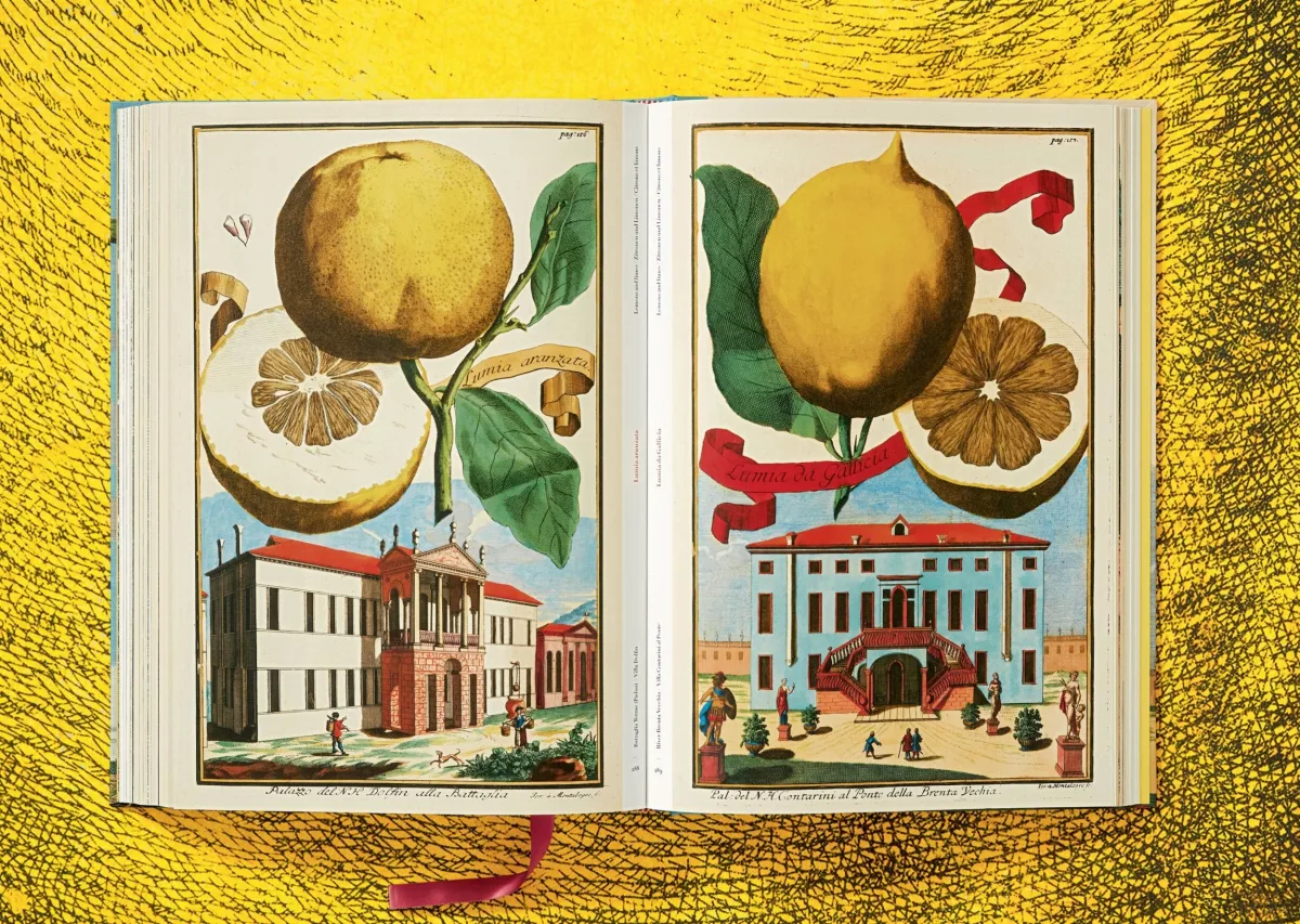 J. C. Volkamer. The Book of Citrus Fruits