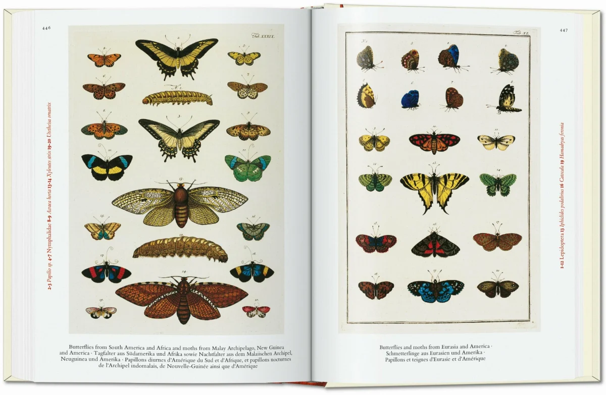Seba. Cabinet of Natural Curiosities. 40th Ed.