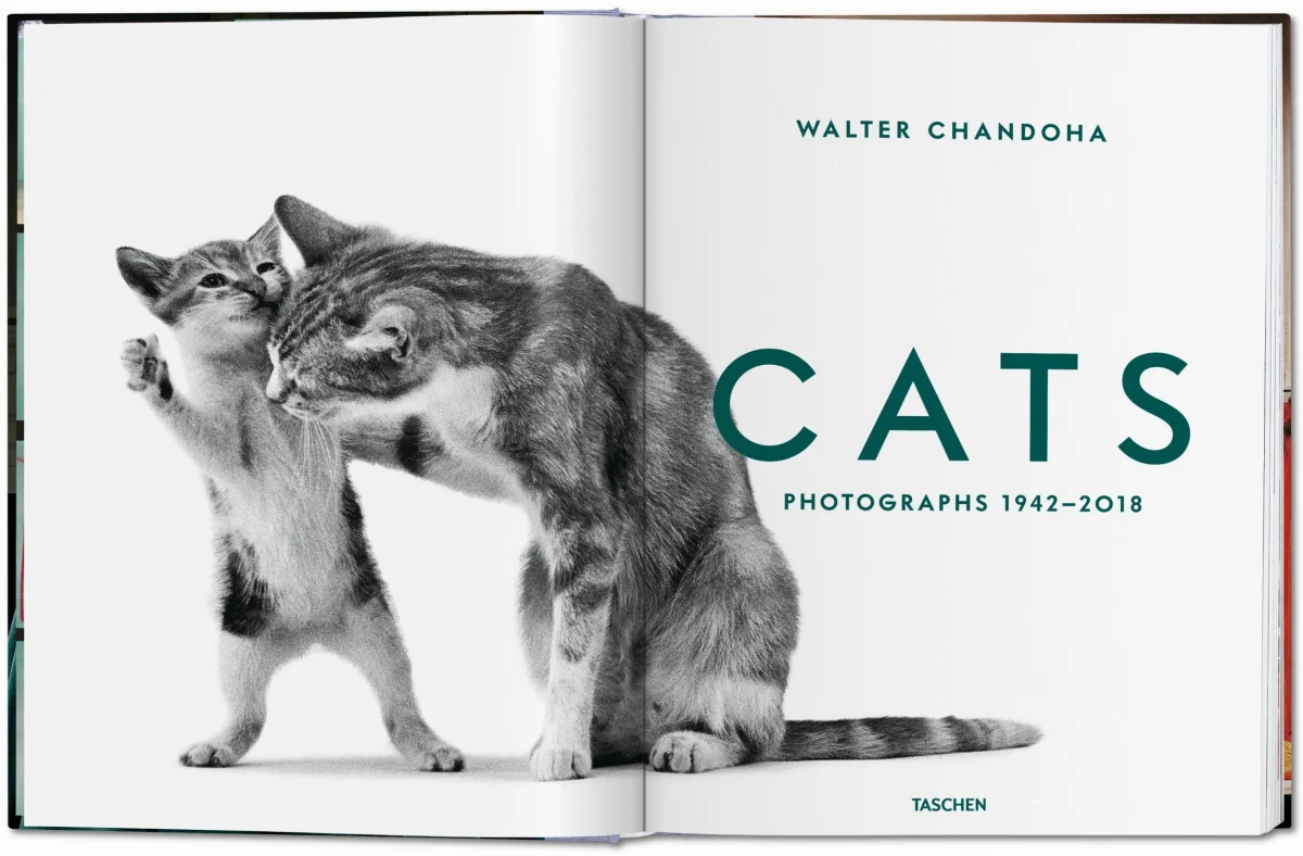 Walter Chandoha. Cats. Photographs 1942–2018