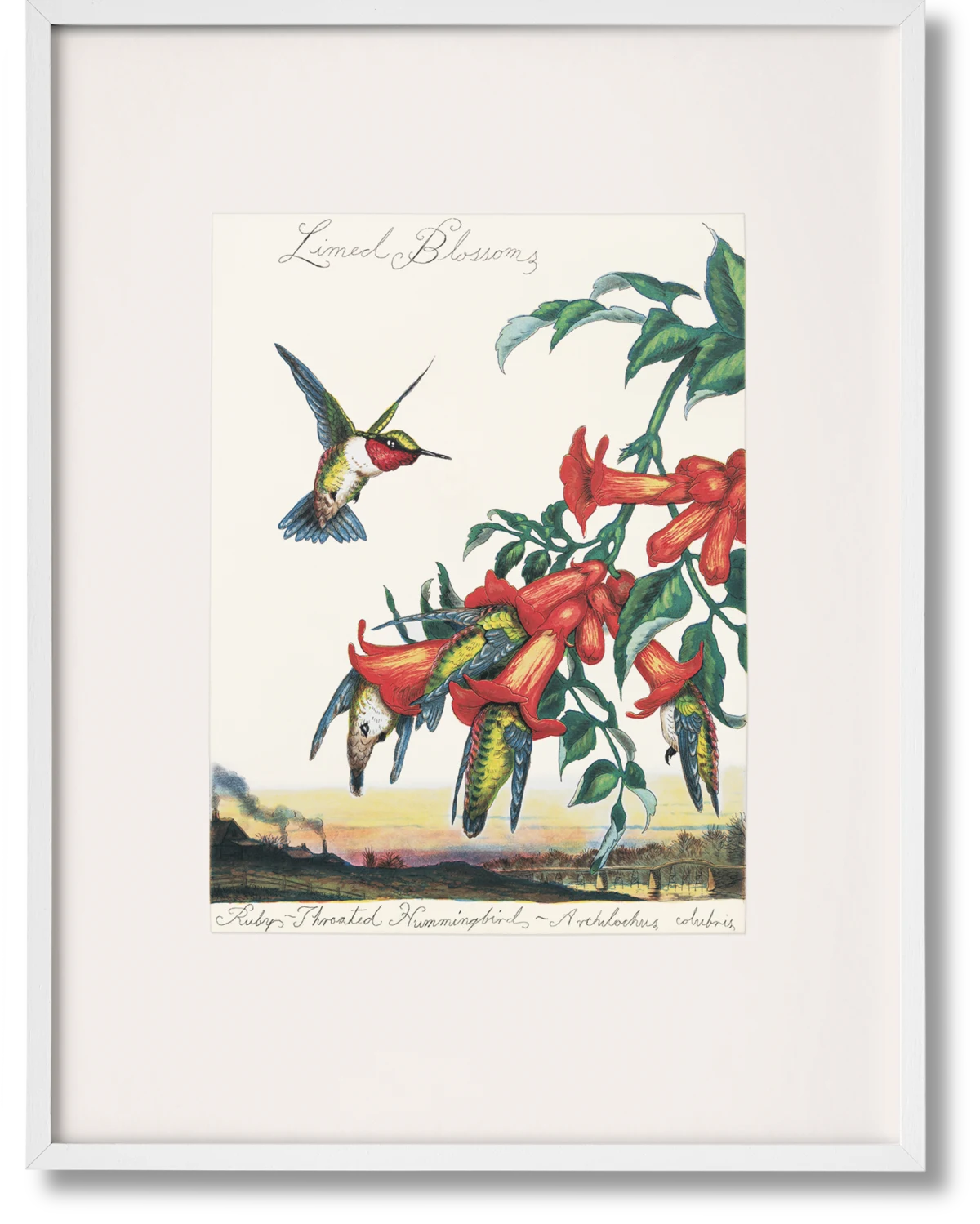 Walton Ford. Pancha Tantra. Art Edition