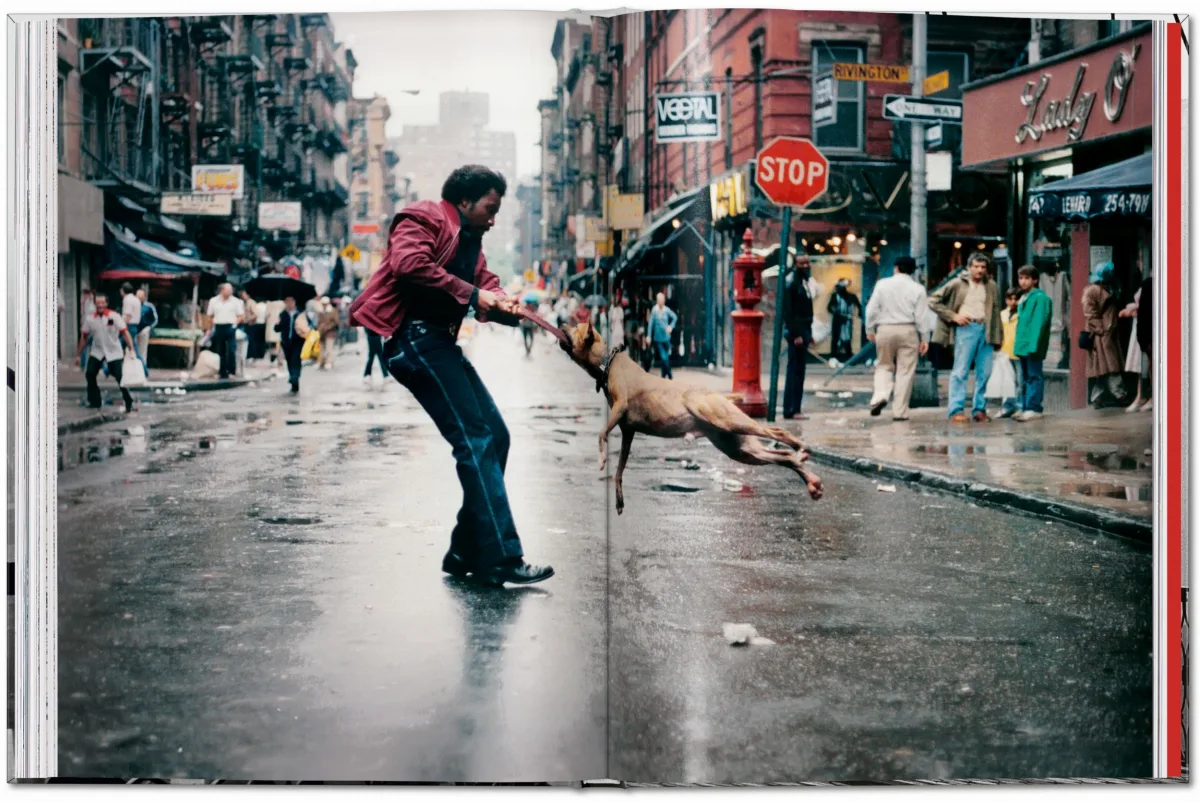 New York. Portrait of a City