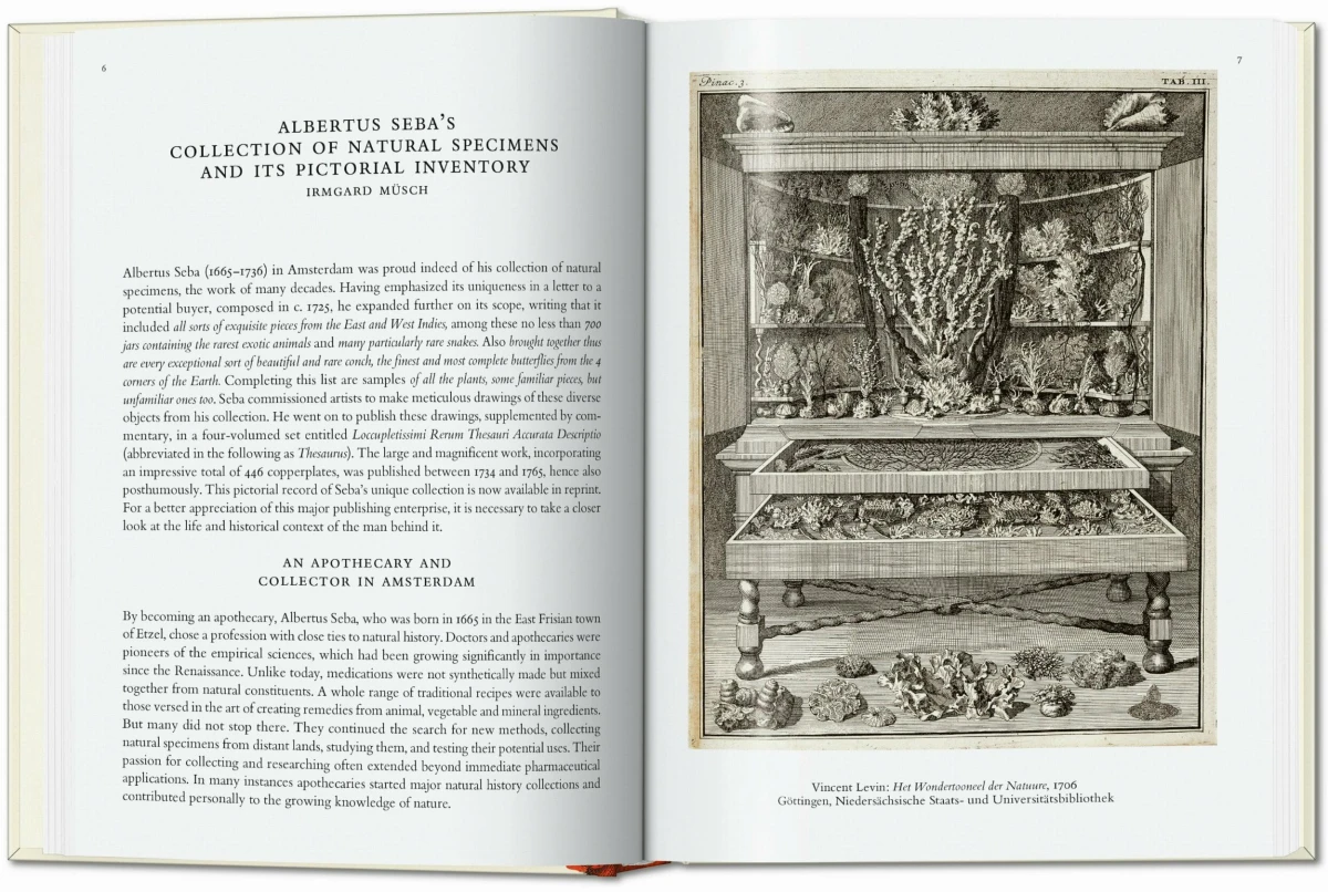 Seba. Cabinet of Natural Curiosities. 40th Ed.