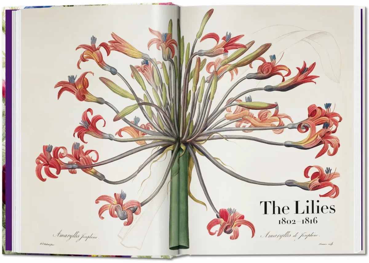 Redouté. The Book of Flowers. 45th Ed.