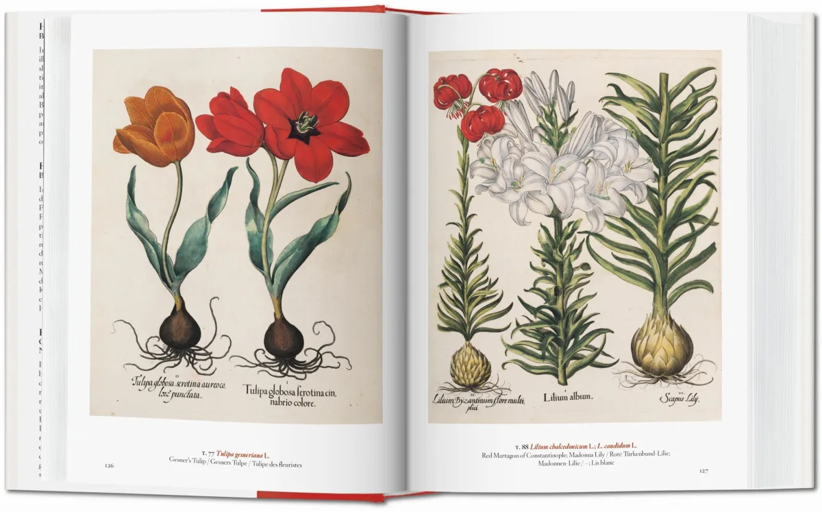 A Garden Eden. Masterpieces of Botanical Illustration. 45th Ed.