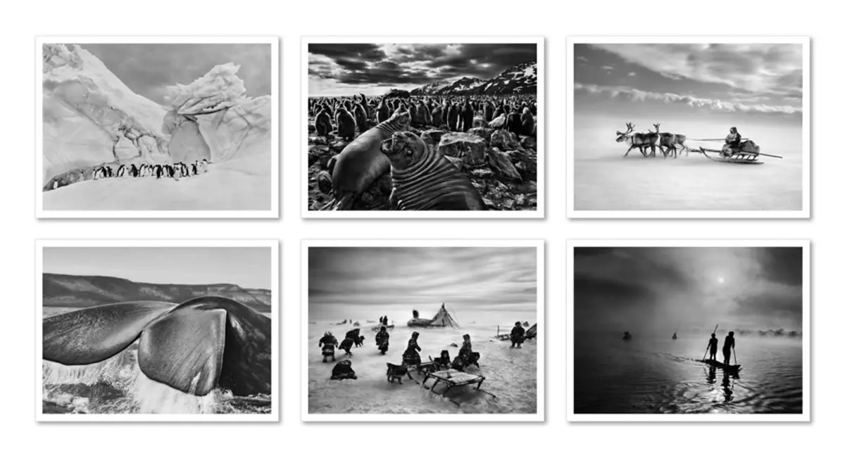 Sebastião Salgado. Genesis. Postcard Set