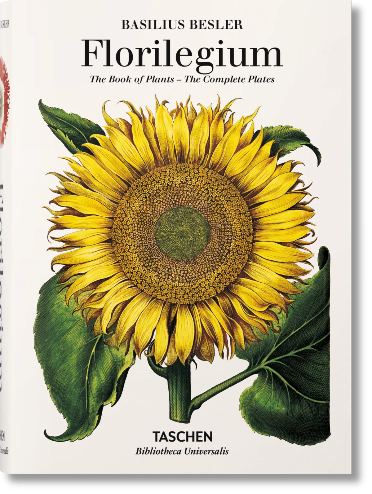 Basilius Besler. Florilegium. The Book of Plants