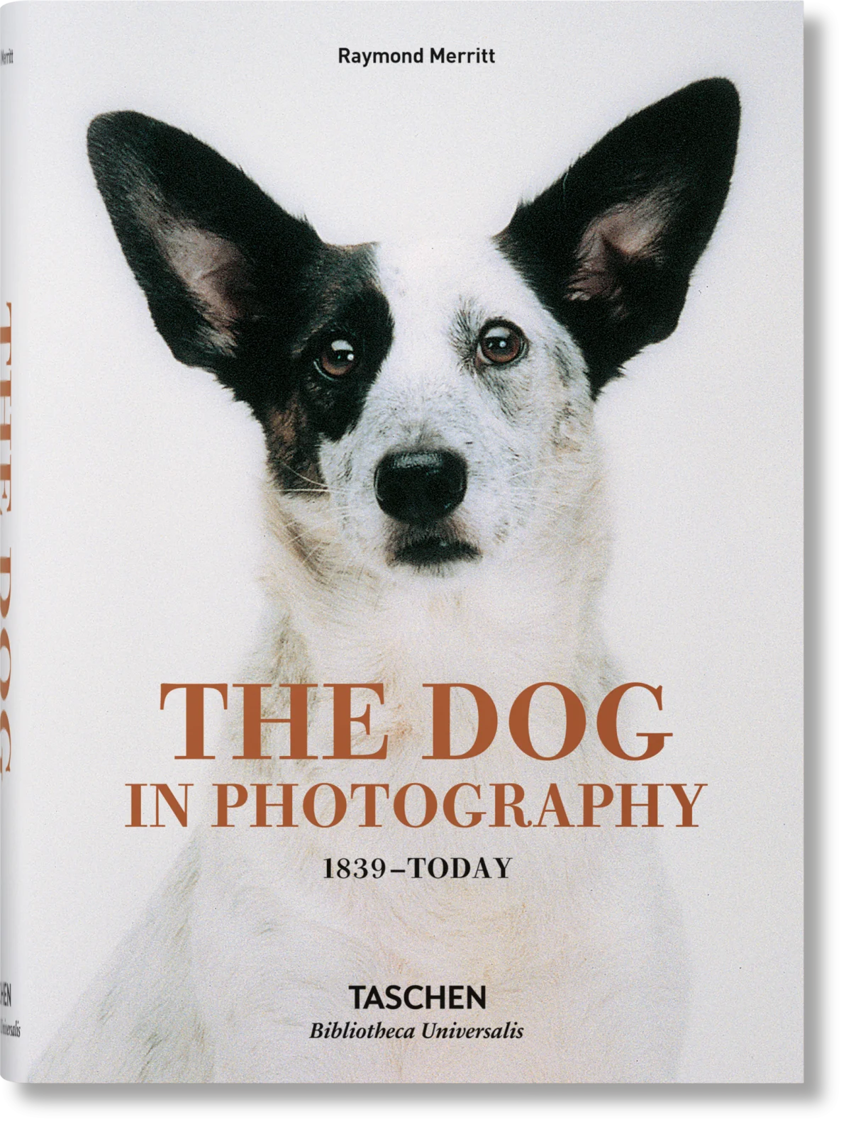 The Dog in Photography 1839–Today