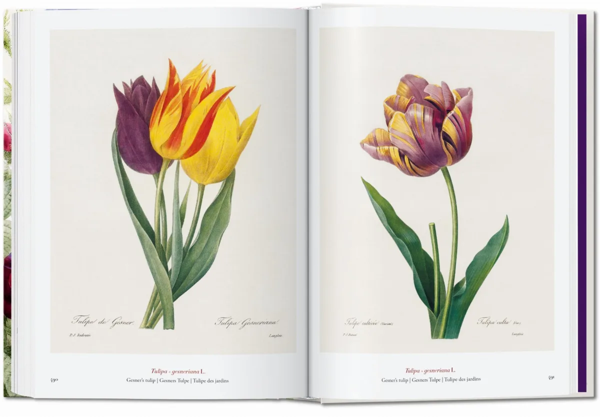 Redouté. The Book of Flowers. 45th Ed.