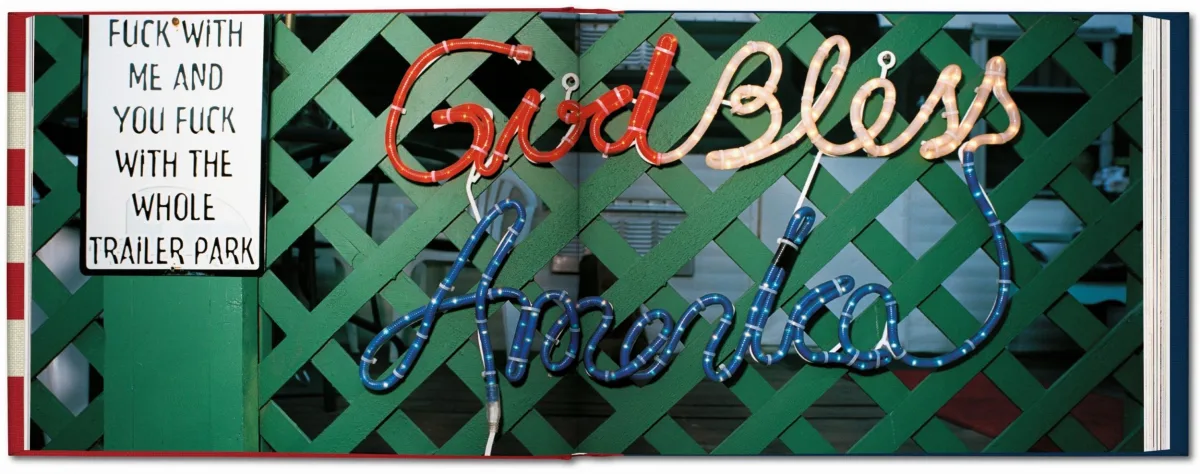 Naomi Harris. America Swings, Art Edition No. 51–100 ‘Barbecue’