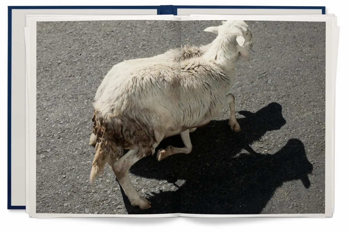 Wolfgang Tillmans. Neue Welt, Art Edition