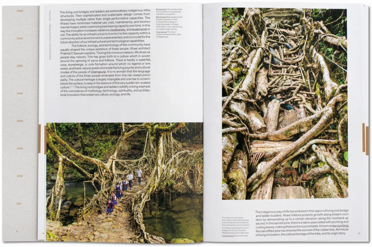 Julia Watson. Lo—TEK. Design by Radical Indigenism