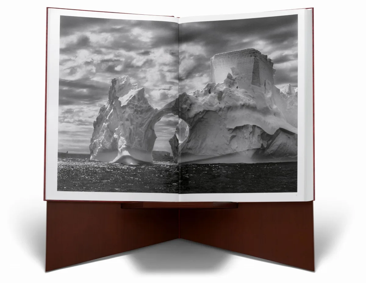 Sebastião Salgado. Genesis. Art Edition No. 201–300 ‘Black-Browed Albatrosses, Falkland Islands’