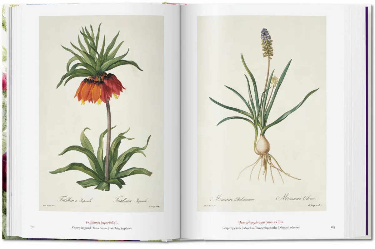 Redouté. The Book of Flowers. 45th Ed.