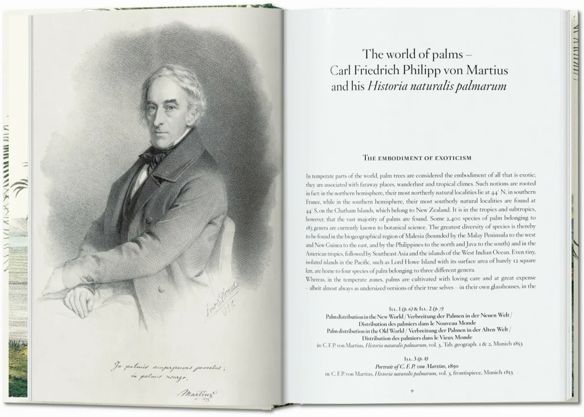 Martius. The Book of Palms. 45th Ed.