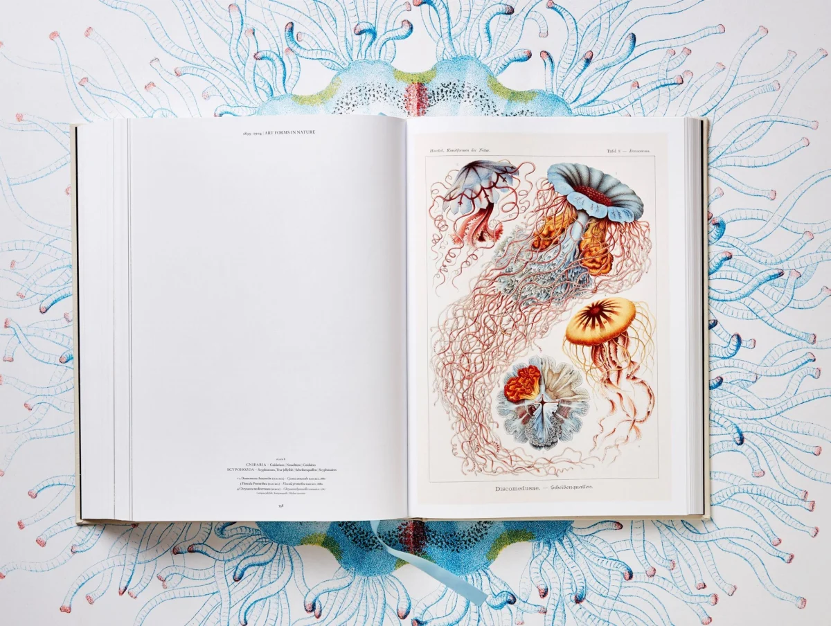 The Art and Science of Ernst Haeckel