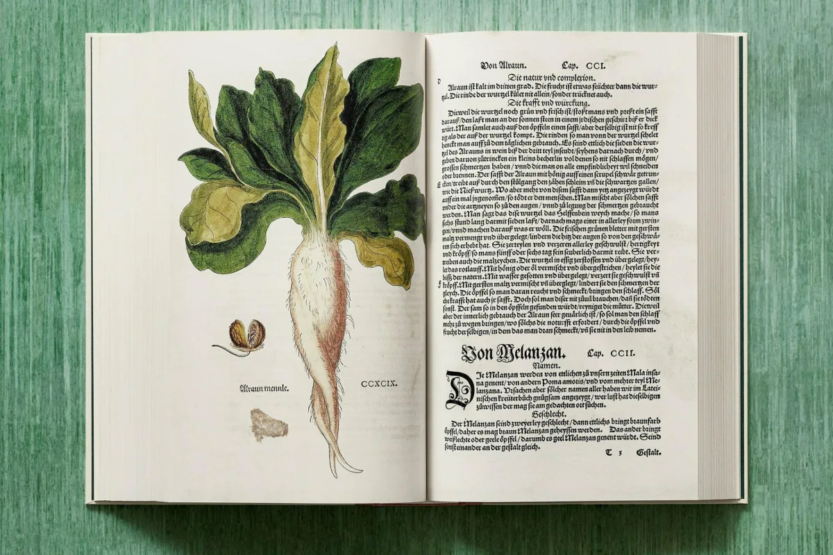 Leonhart Fuchs. The New Herbal