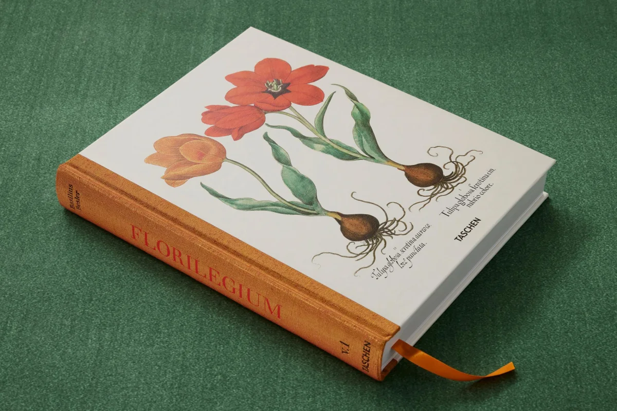 Basilius Besler. The Garden at Eichstätt