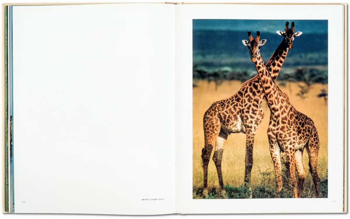 Frans Lanting. Eye to Eye