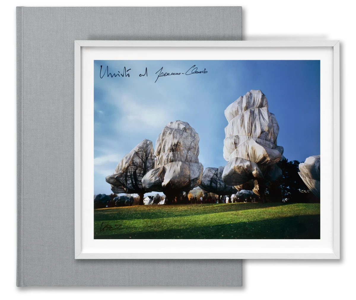 Christo and Jeanne-Claude. Wrapped Trees. Basel 1997–1998