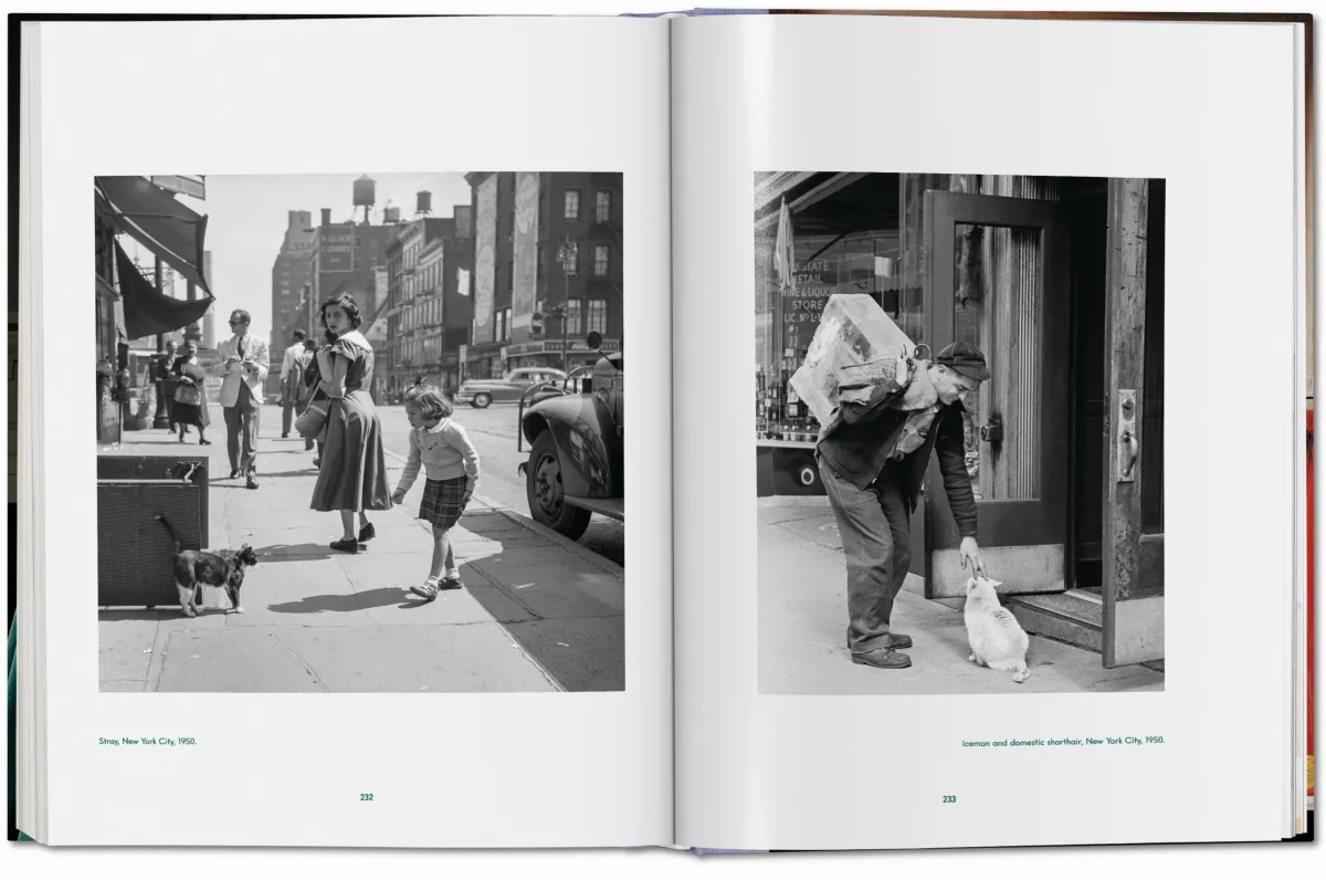 Walter Chandoha. Cats. Photographs 1942–2018