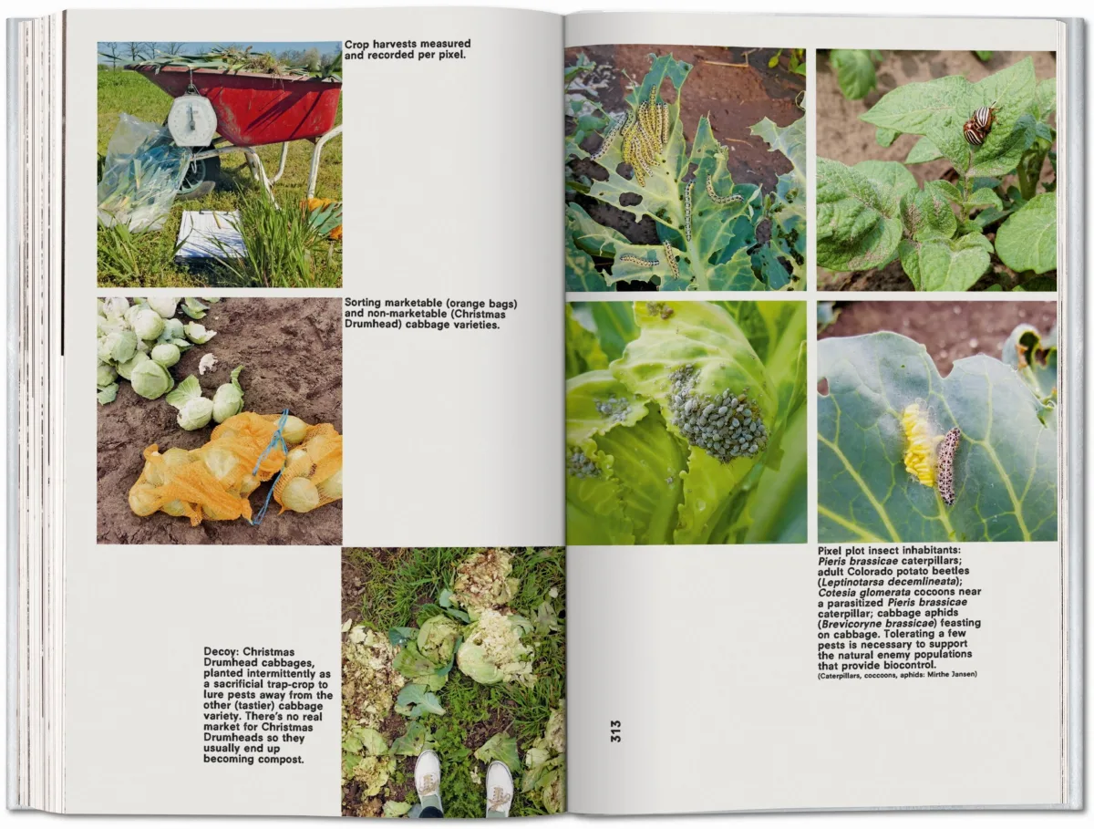 Koolhaas. Countryside, A Report