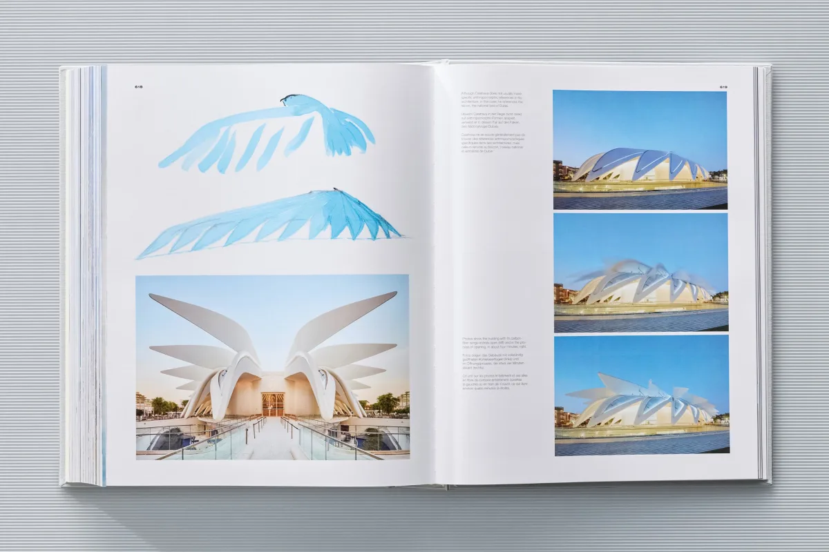 Calatrava. Complete Works 1979–Today. Art Edition 'Transfigured Tree. Messenger of Light', 2023