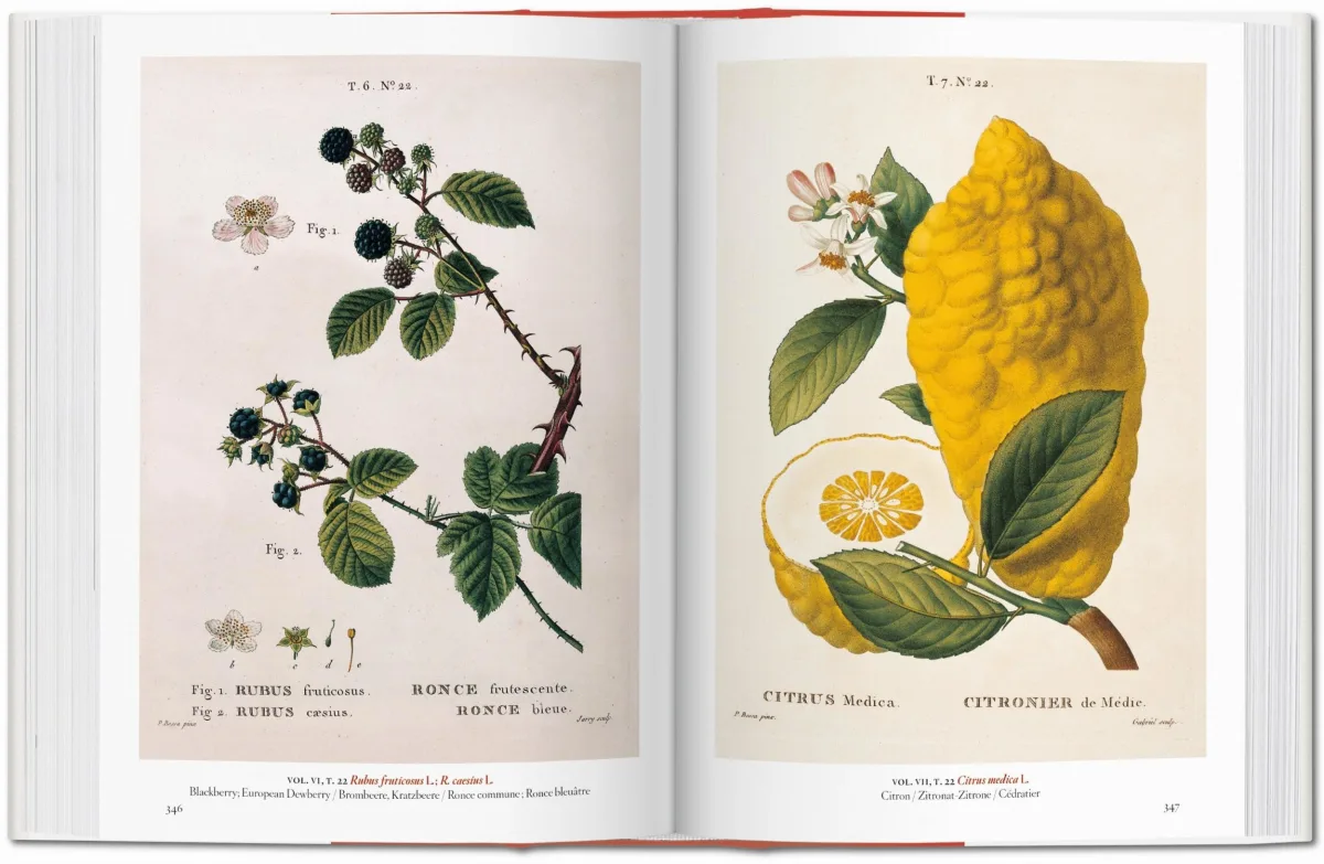 A Garden Eden. Masterpieces of Botanical Illustration. 45th Ed.