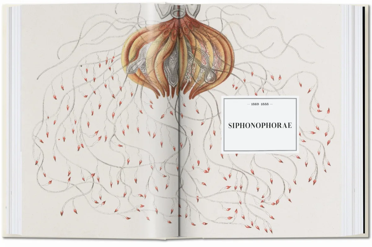 The Art and Science of Ernst Haeckel. 45th Ed.