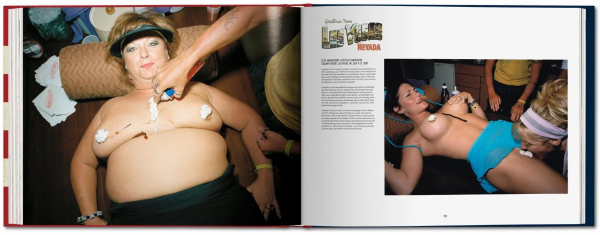 Naomi Harris. America Swings, Art Edition No. 51–100 ‘Barbecue’